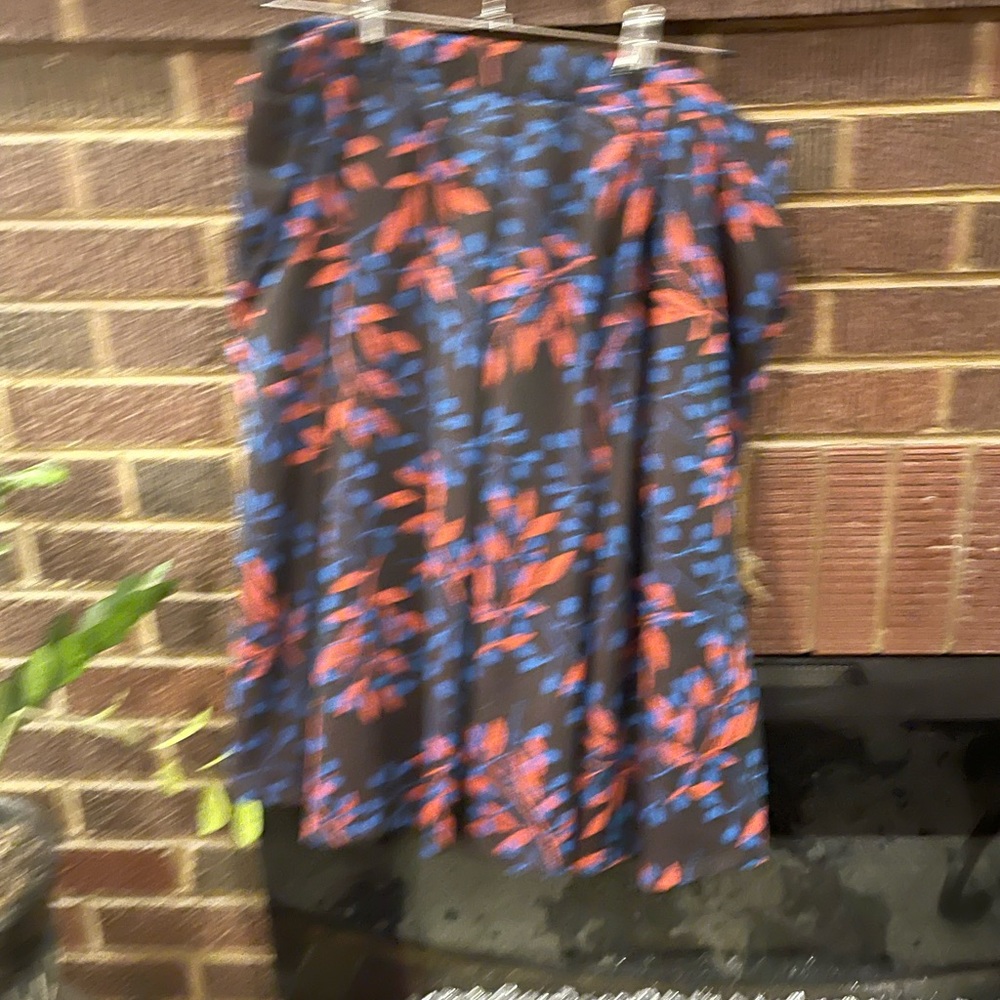 2 LuLaRoe skirts size 2xl